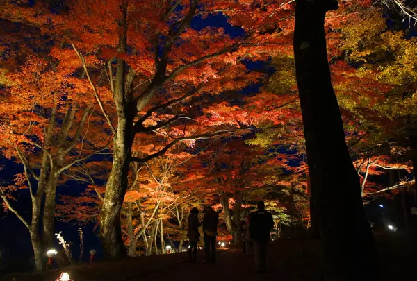 旭日丘湖畔緑地公園