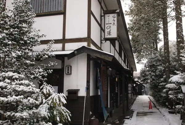仙石原はたご一の湯