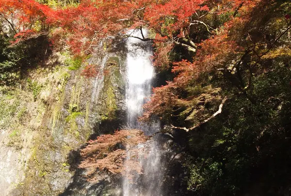箕面の滝