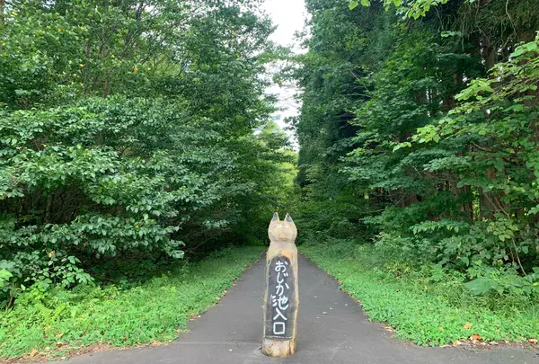 信州信濃町 癒しの森