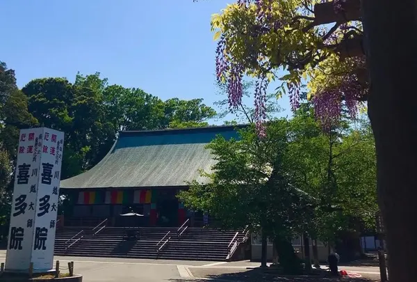 川越大師 喜多院の写真・動画_image_1196913