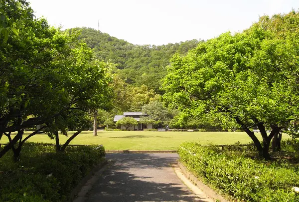 梅林公園は梅の名所