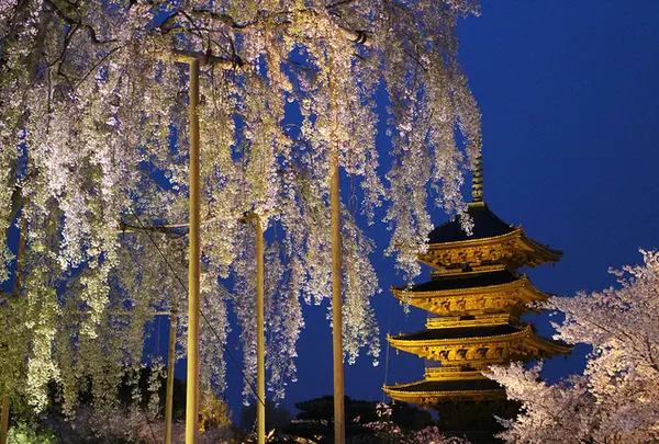 東寺（教王護国寺）
