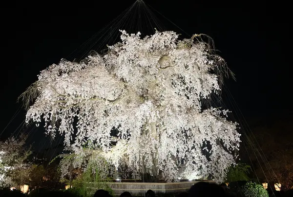 円山公園