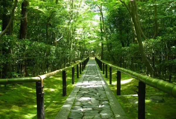 大徳寺