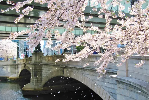 日本橋