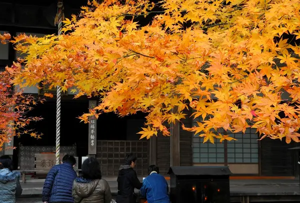 最勝院高徳庵