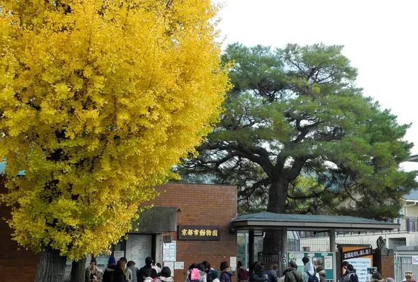 京都市動物園の写真・動画_image_120439