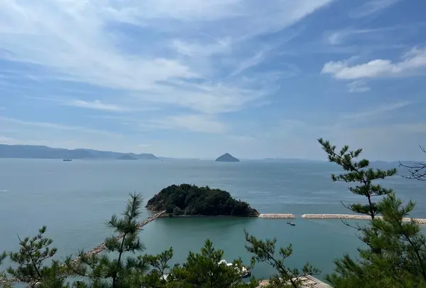 地中カフェの写真・動画_image_1204789