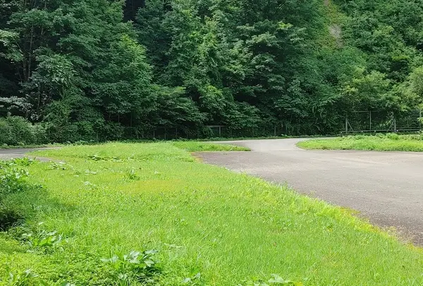 井出舞沢園地