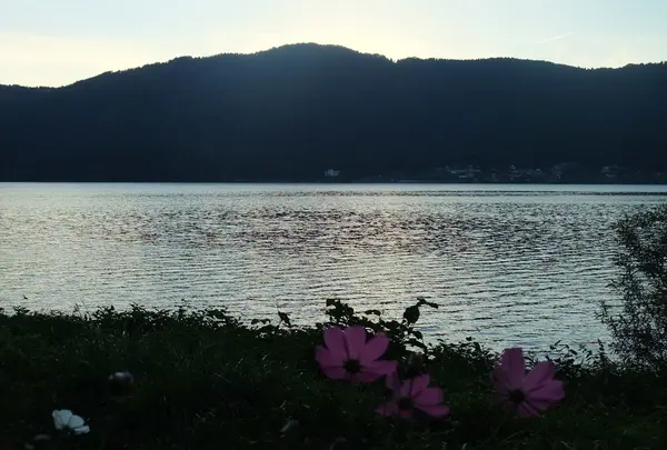 余呉湖