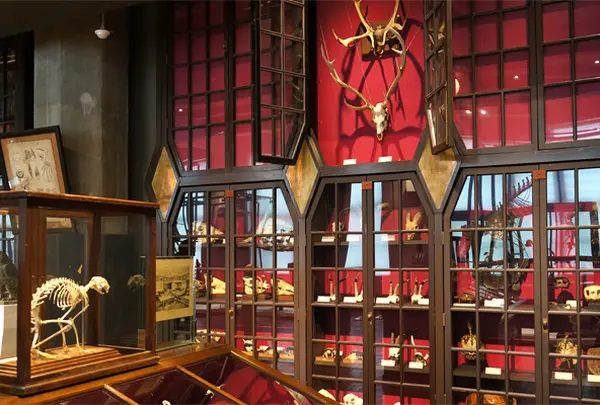 インターメディアテク INTERMEDIATHEQUE