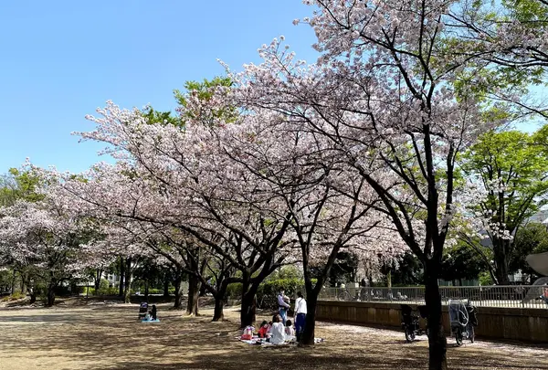 府中公園