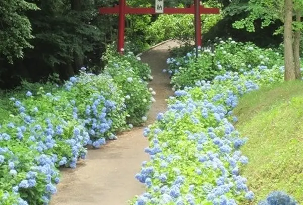 土合舘公園