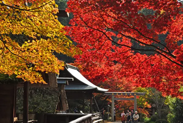 日向大神宮