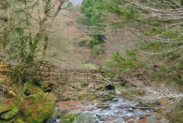 奥祖谷二重かずら橋