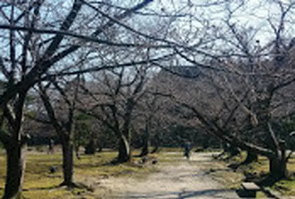 福岡城跡