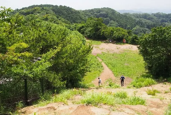 大平山