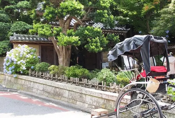 報国寺（竹寺）