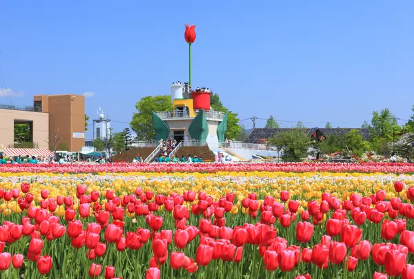砺波チューリップ公園の写真・動画_image_1214185