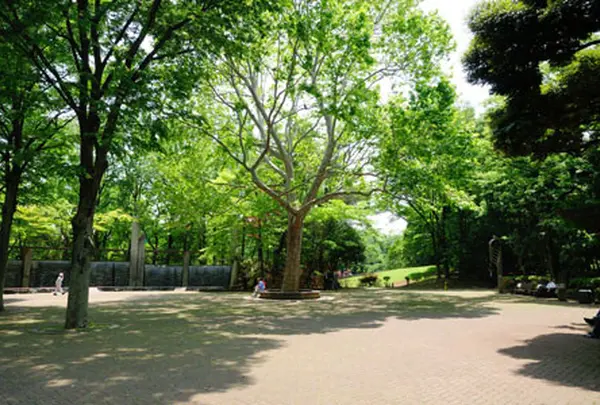 蚕糸の森公園