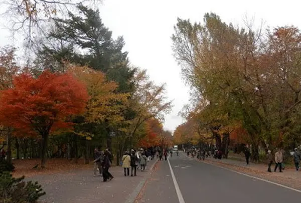 北海道大学