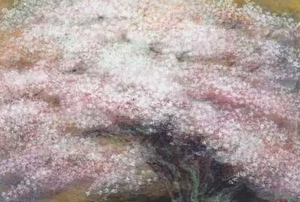 金剛桜