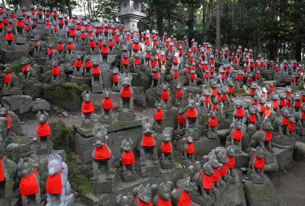 あちこちに「おきつね様」の写真・動画_image_121916