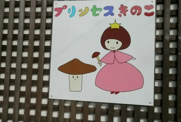 プリンセスきのこ
