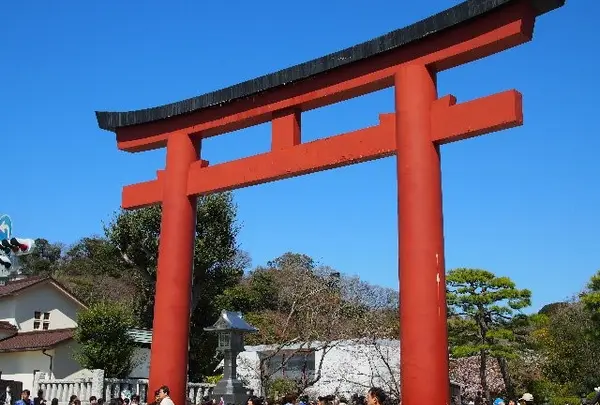 鶴岡八幡宮