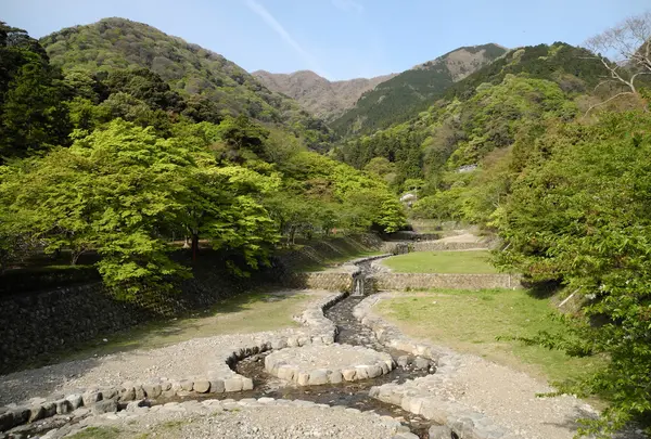 養老公園