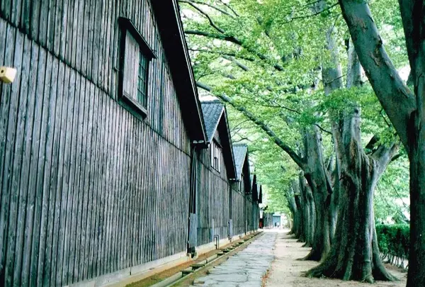 山居倉庫の写真・動画_image_122112