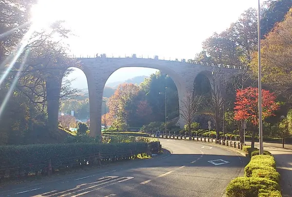 七沢森林公園