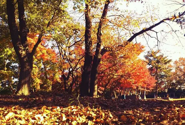 ぼうさいの丘公園