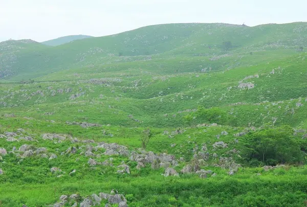 秋吉台
