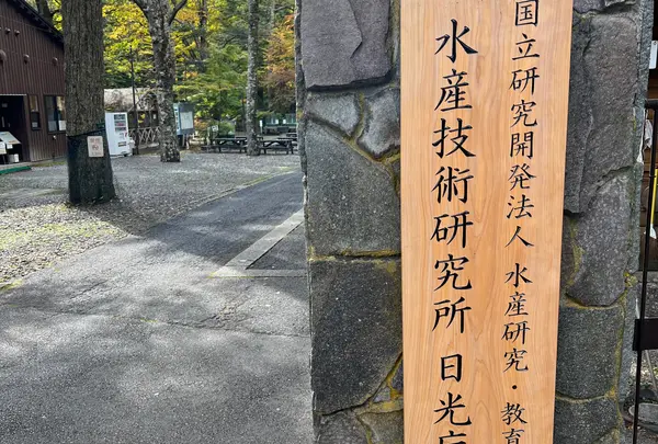 さかなと森の観察園