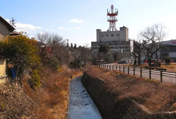 小川の周辺には