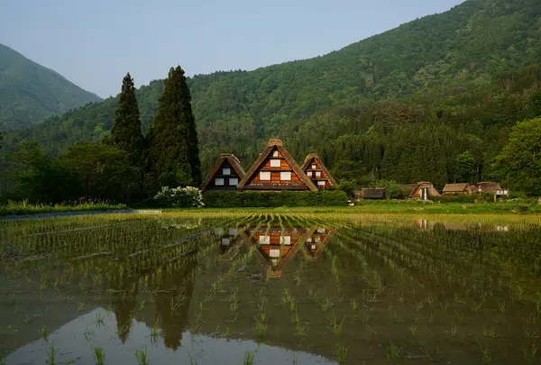 白川郷 かん町付近の写真・動画_image_122537