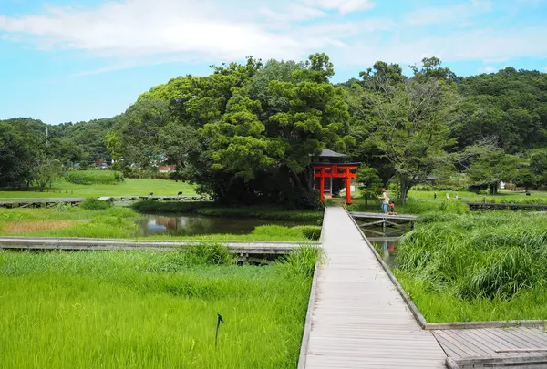 厳島湿生公園