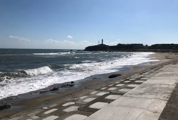 君ケ浜しおさい公園の写真・動画_image_1226189