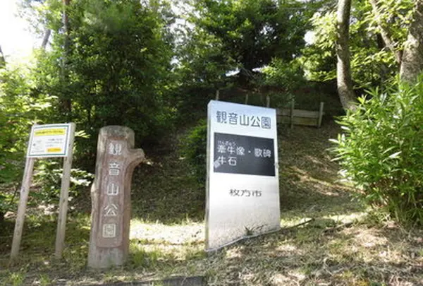 観音山公園の写真・動画_image_1226525