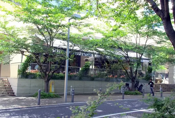ローダーデール