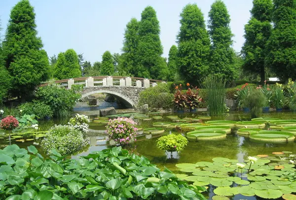 市立水生植物公園みずの森の写真・動画_image_122810