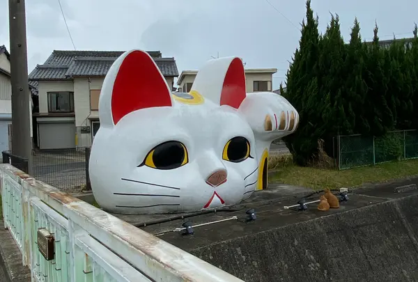とこにゃんの写真・動画_image_1228313