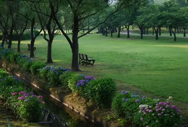 木場潟公園