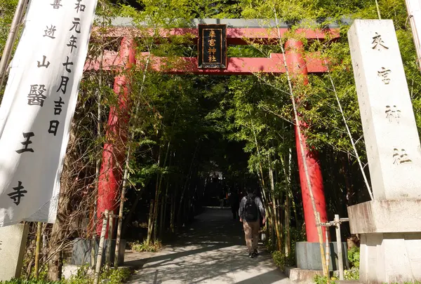 来宮神社 鳥居の写真・動画_image_1231067