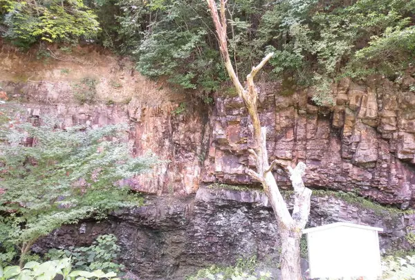 神戸層群