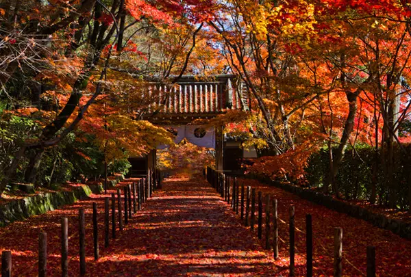 光明寺