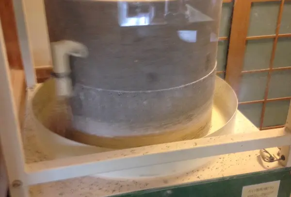 みのりの写真・動画_image_123344