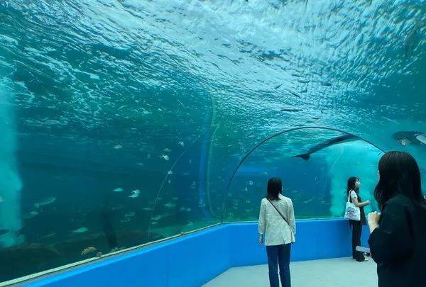 のとじま水族館　の写真・動画_image_1236064